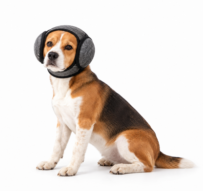 CalmHund™ – Hundegehörschutz